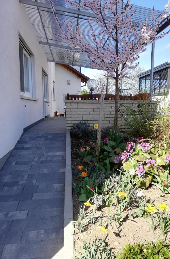 Ferienhaus Rauwolf Roschbach Exterior foto